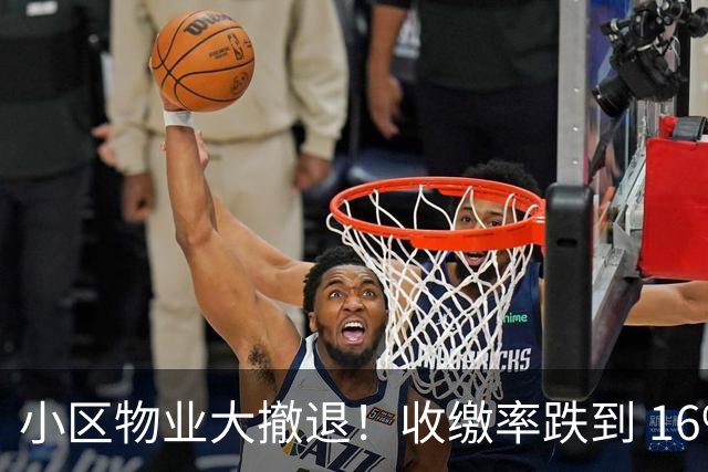 小区物业大撤退！收缴率跌到 16%，售价数百万住宅恐变贫民窟